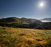 Moonlight over a meadow, Wharariki, Tasman, South Island, New Zealand