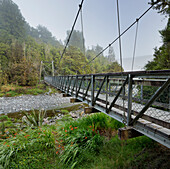 Brücke über den Matheson Creek, West Coast, Südinsel, Neuseeland