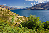 Lake Wanaka, Otago, South Island, New Zealand
