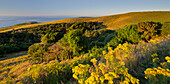 Papatowai, Catlins, Otago, Südinsel, Neuseeland