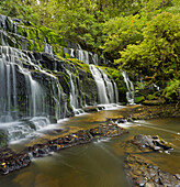 Purakanui Falls, Catlins, Otago, Südinsel, Neuseeland
