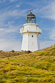 Waipapa lighthouse, Catlins, Southland, South Island, New Zealand