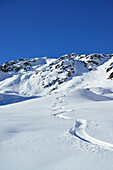 Tracks in powder snow, Kroendlhorn, Kitzbuehel Alps, Tyrol, Austria