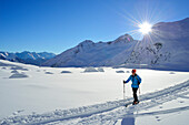 Frau auf Skitour steigt zur Agglsspitze auf, Pflerschtal, Stubaier Alpen, Südtirol, Italien