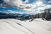 Winter landscape near Flims Laax, canton of Grisons, Switzerland