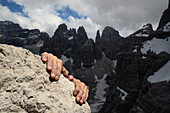 Kletterer im Aufstieg, Val Brentei, Brenta, Dolomiten, Trentino, Italien