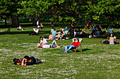 Mittagspause im St. James's Park, Westminster, London, England, Vereinigtes Königreich