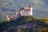Blick auf das Burg Gutenberg, Balzers, Rhein, Alpenrhein, Liechtenstein, Europa