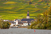 View across the river Rhine atovineyards, Adlerturm and the church St. Jakobus in Rudesheim, Mittelrhein, Middle Rhine, Hesse, Germany, Europe