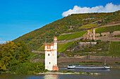 Ruins of Ehrenfels castle and the Maeuseturm near Bingen, Mittelrhein, Middle Rhine, Rhineland-Palatinate, Germany, Europe