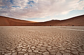 Detail ausgetockneter Erde im Dead Vlei, bei Sossusvlei, Namib Naukluft Park, Namibia, Namib Wüste, Afrika