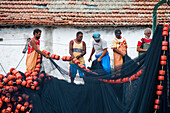 Fishermen checking fishing net in harbour, Cabo Frio, Rio de Janeiro, Brazil