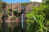 Australia, Northern Territory, Litchfield National Park, Wangi Falls.