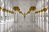 Sheikh Zayed Mosque. Abu Dhabi. UAE.