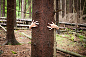 Woman hugging tree trunk