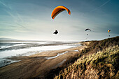 Hang gliders over beach