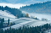 Misty morning, Krasnik village area, Carpathian Mountains, Ivano-Frankivsk region, Ukraine