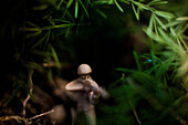 Toy soldier in grass