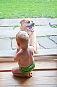 Baby boy looking at pet dog through window