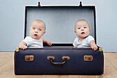 Two baby boys sitting in suitcase, portrait