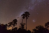 Stars and Sky, Okavango Delta, Botswana, Africa.