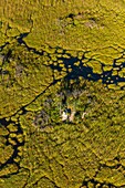 Okavango Delta, Botswana, Africa.