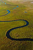 Okavango Delta, Botswana, Africa.