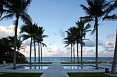 Twilight palms on South Ocean Blvd , Palm Beach, Florida, USA