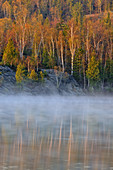 Spring foliage in the fog along the shores of Simon Lake, Greater Sudbury (Naughton), Ontario, Canada.