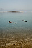 People floating at the Dead Sea, Israel.