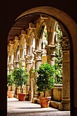 Renaissance cloister, XVI century, Monastery of San Jeronimo de Yuste, XV century, region of the Vera, Caceres, Extremadura, Spain, europe.