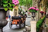 horse carriage, Passeig del Born, Passeig del Born-, Palma, Mallorca, Balearic Islands, Spain, europe.