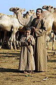 'Camel Market; Camel Market outside of Cairo; Camelus Dromedarius; Father and Son; Auction; Public Sale; Egypt.'