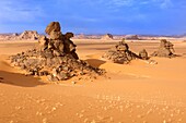 'Akakus Area; Dunes; Dune Grass; Scenery; Libyan Desert; Libyan Arab Jamahiriya.'