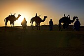 'Tuaregs with her Camels; Libyan Arab Jamahiriya; Libyan Desert.'