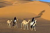 'Tuaregs riding Camels; Libyan Arab Jamahiriya; Libyan Desert.'