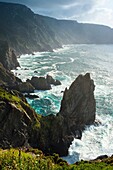 Cape Ortegal in Cariño. A Coruña. Galicia. Spain. Europe.