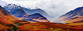 Fall Colours And Alaska Range, Denali National Park, Alaska
