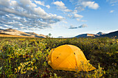 Camping Near Noatak River In The Brooks Range, Gates Of The Arctic National Park, Northwestern Alaska, Above The Arctic Circle, Arctic Alaska, Summer.