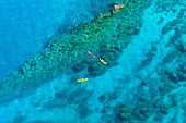 'Kayakers and stand up paddleboarders over tropical reef, Makena, Maui, Hawaii, United States of America'