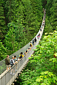 'Tourists Walk Across Bridge At Capilano Suspension Bridge Park; North Vancouver, British Columbia, Canada'