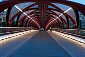 'Red Bridge At Night With Lights; Calgary, Alberta, Canada'