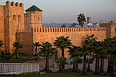 Palm trees and the fortifications surrounding the oudayas casbah, rabat, morocco, africa
