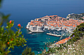 High view of city and harbour from mountain side, Dubrovnik, UNESCO World Heritage Site, Dalmatian Coast, Croatia, Europe