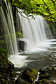 Sqwd Ddwli Waterfall, Brecon Beacons, Wales, United Kingdom, Europe