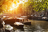 Sunlit canal, Amsterdam, The Netherlands, Europe