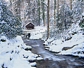 Cottage in a forest in winter, near Geroldsau Waterfall, Black Forest, Baden Wurttemberg, Germany, Europe