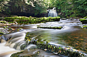 Westburton Waterfall, Westburton, Yorkshire Dales, Yorkshire, England, United Kingdom, Europe