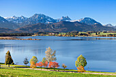 Hopfensee Lake in autumn, near Fussen, Allgau, Allgau Alps, Bavaria, Germany, Europe
