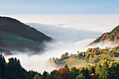 Foggy landscape in autumn, Wiedener Eck, Black Forest, Baden Wurttemberg, Germany, Europe